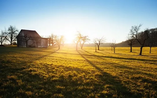 A picture of the sun shining on grass