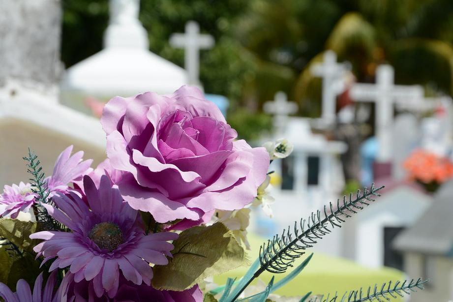 A picture of purple flowers in the church cemetery