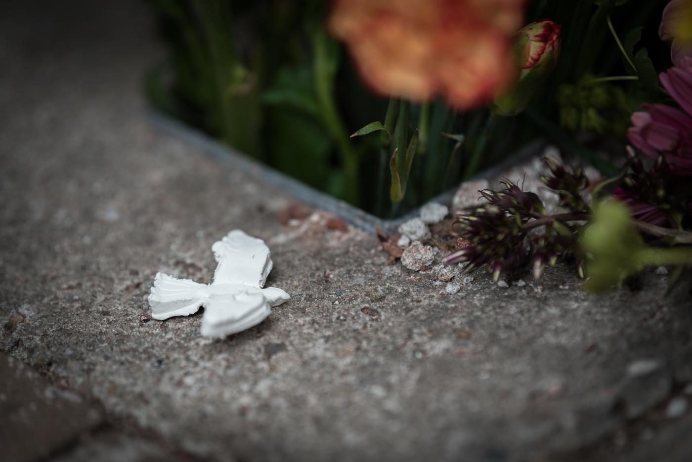 A picture of a plaster dove lying on the ground