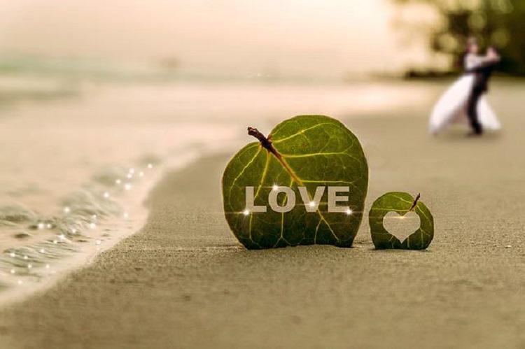 Two leaves and a married couple