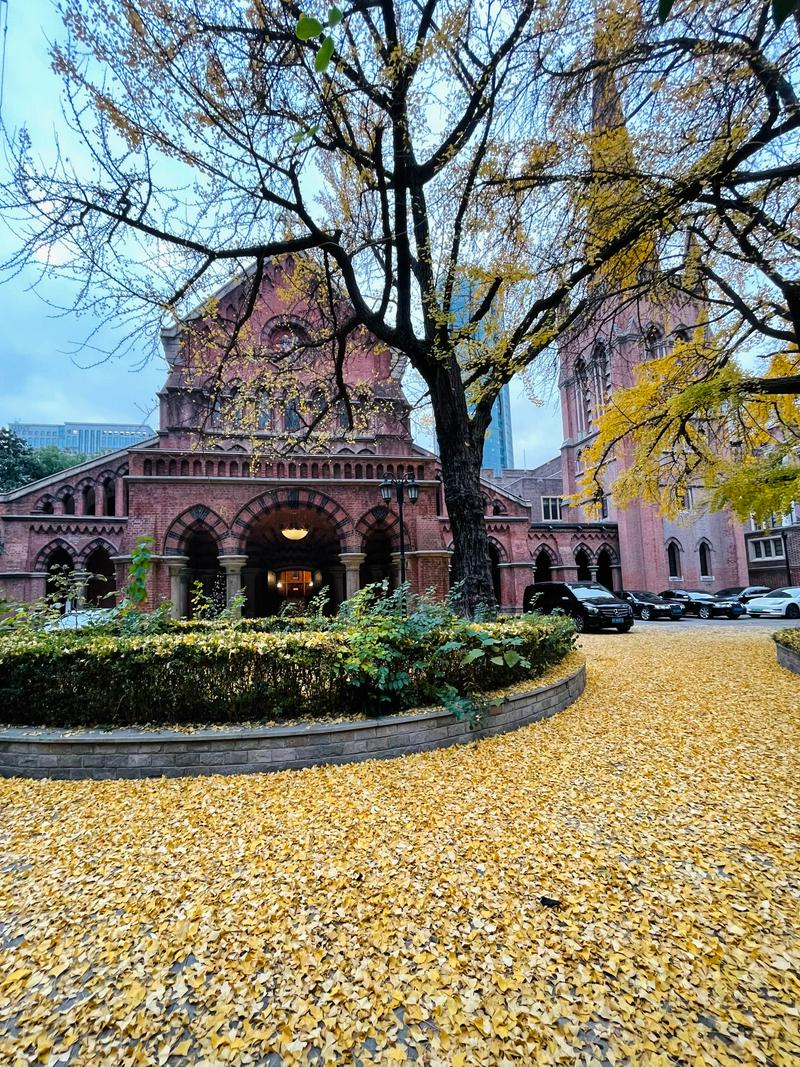 A long shot of "the Red Church" along with a tree and golden leaves on the ground