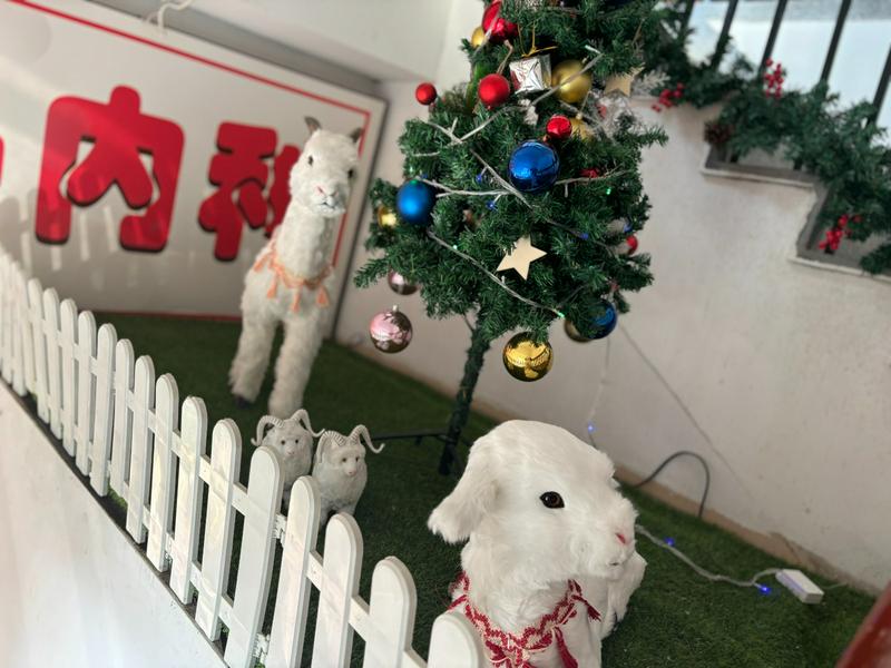 A picture of a corner of the Christmas decoration in the Gongchen Church in Hangzhou City, Zhejiang Province