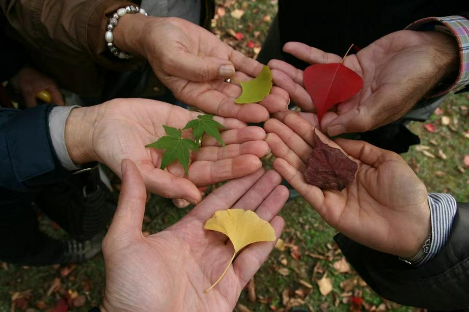A close-up picture of a group of people holding different kinds of leaves on their palms