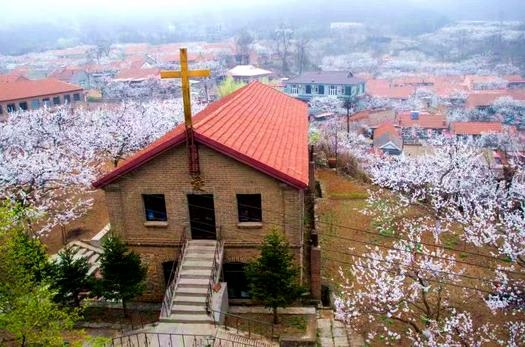 A country church among the peach trees