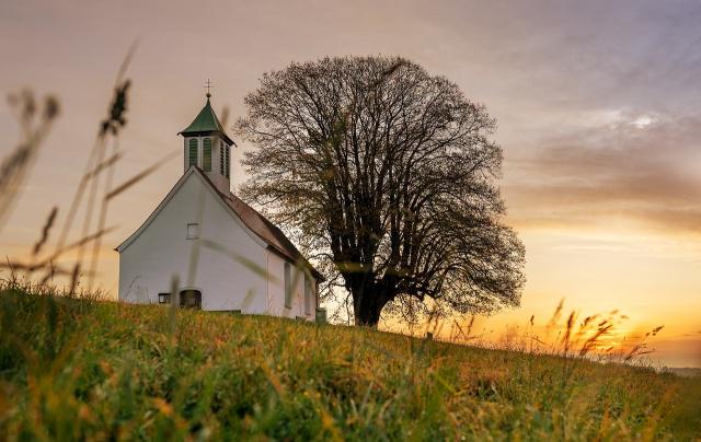 A picture of a church beside a big tree