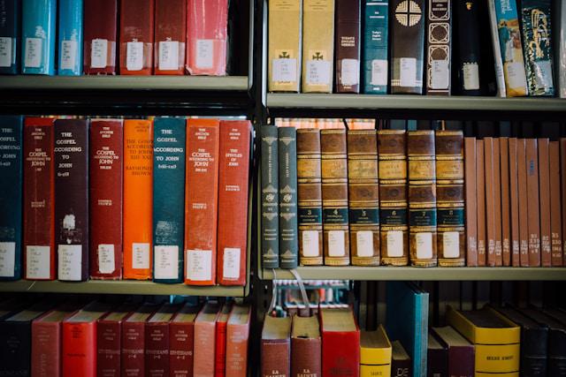 A photo of assorted-title books on a shelf