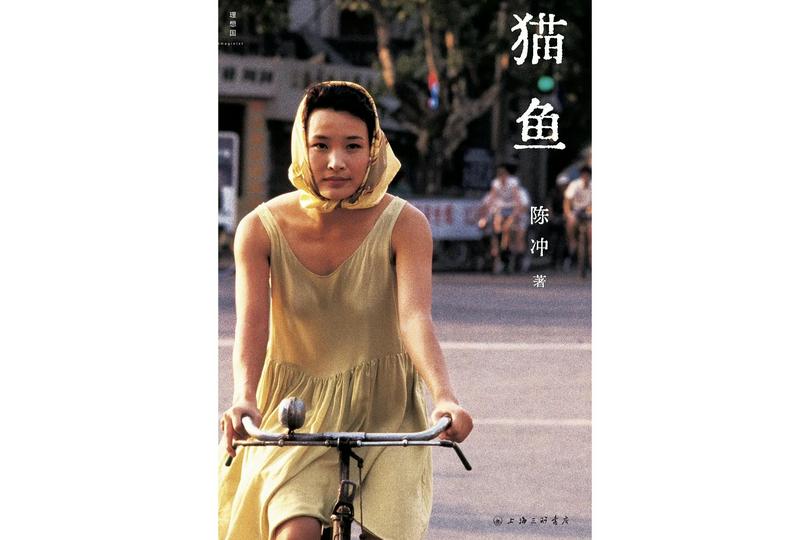 Book cover of Joan Chen’s Catfish