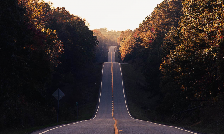 A picture of asphalt road between trees