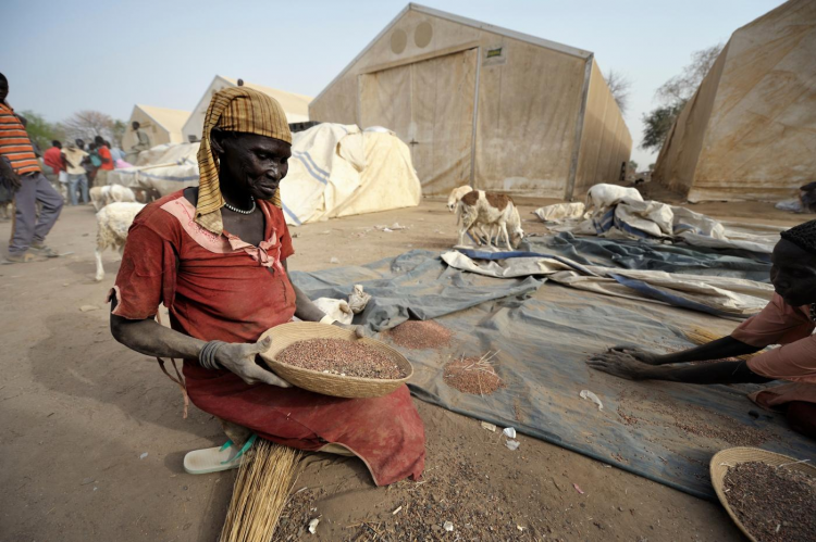 After sweeping up sorghum seeds spilled on the ground during the distribution of emergency food supplies by the United Nations World Food Program, a woman in Agok, South Sudan, a town in the contested Abyei region.