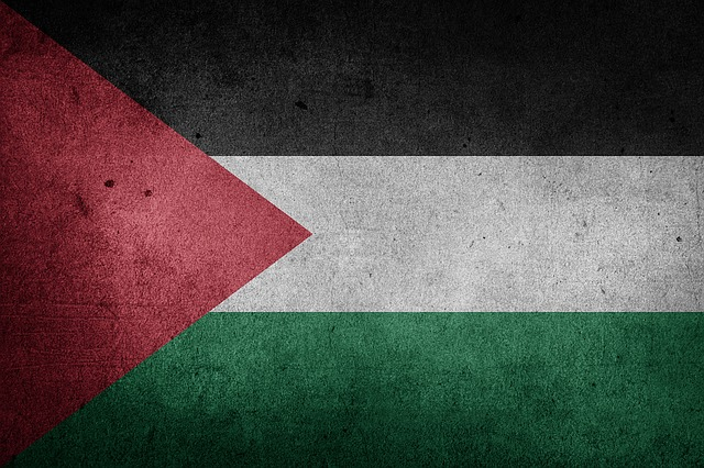 Flag of Palestine
