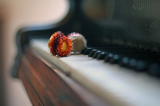 A flower is placed on a piano.