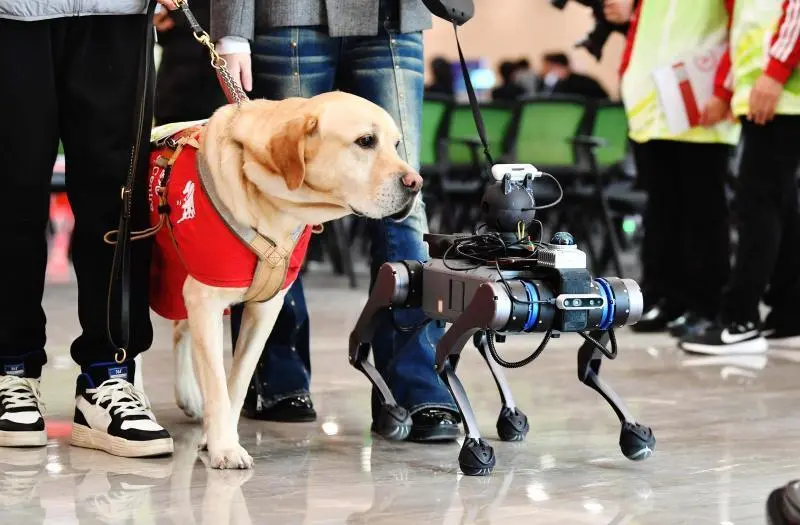 A guide dog and a robotic dog stand side by side in a public indoor setting on an unknown day.