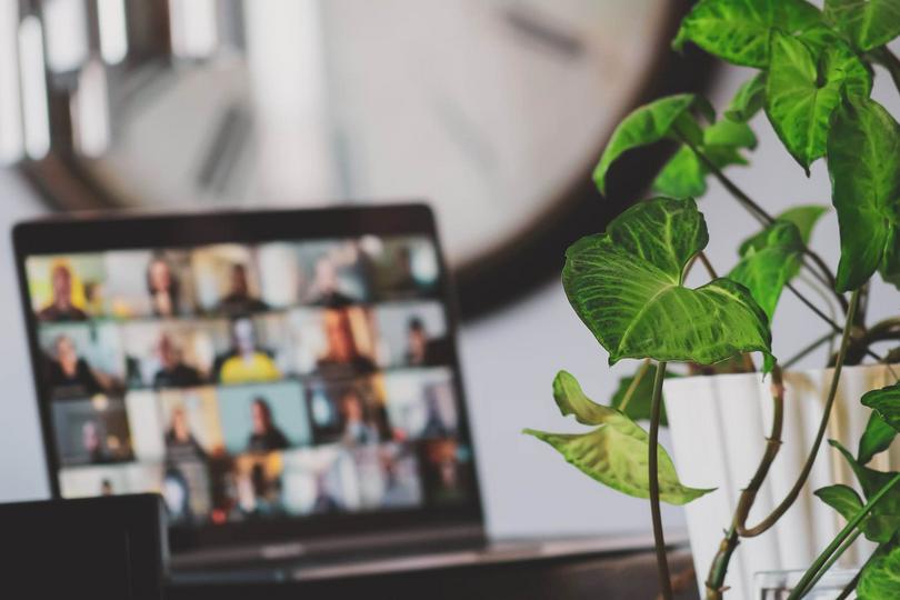 A laptop displaying a virtual meeting was placed next to a green plant.
