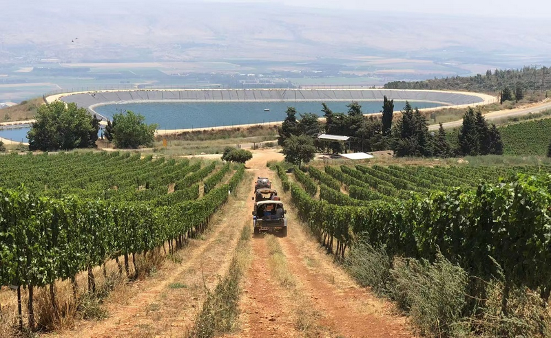 A winery in Israel 