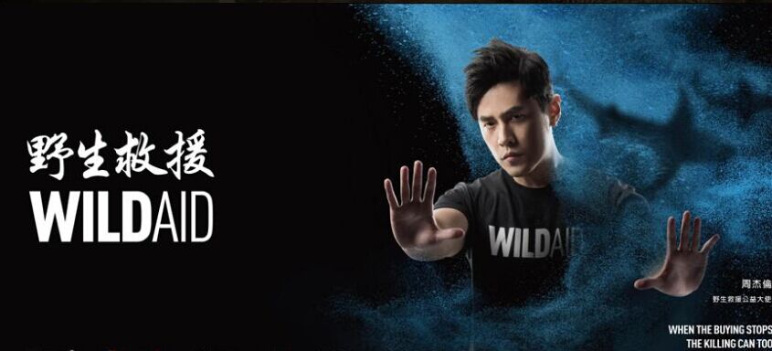 Jay Chou appears in the official poster for Wild Aid 