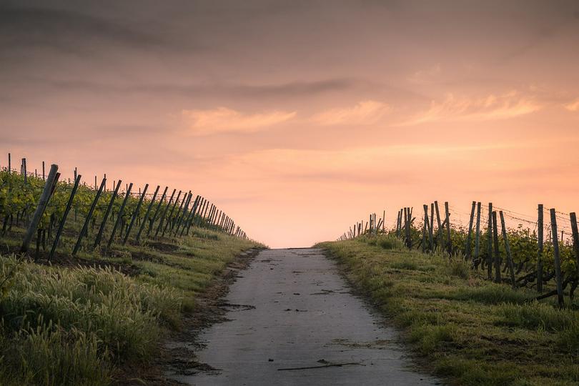 Spiritual gloom and glee in our journey of faith.