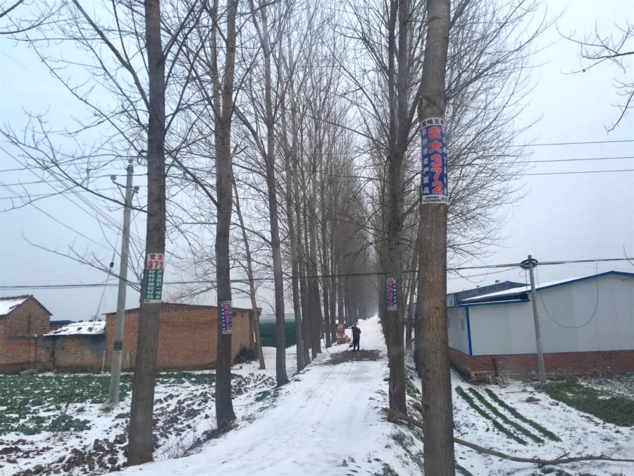 the Country road outside the village of Li Tiechui.