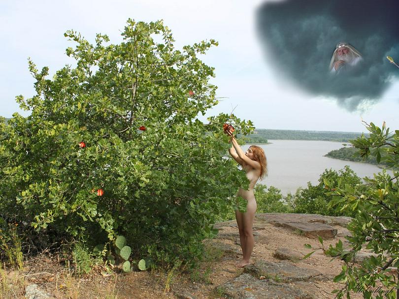 Garden of Eden