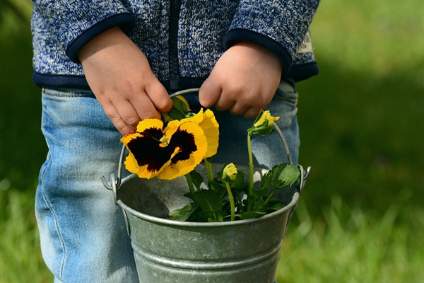 A Child holding a potted plant.