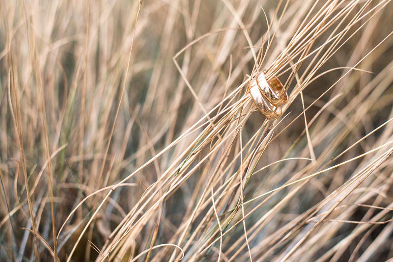 A pair of rings hang on dry weeds 