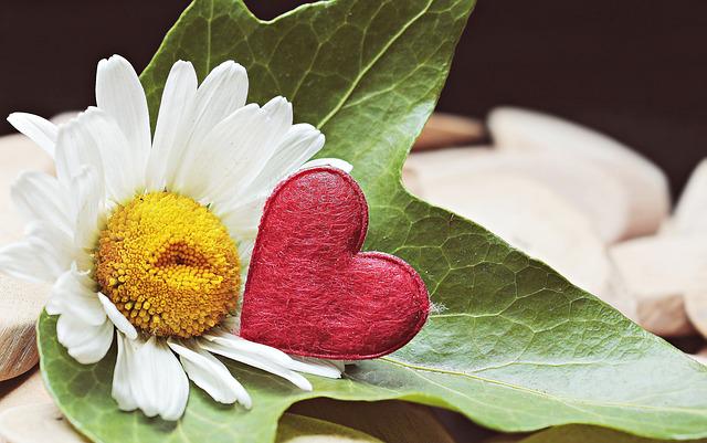 Flower and a heart. 