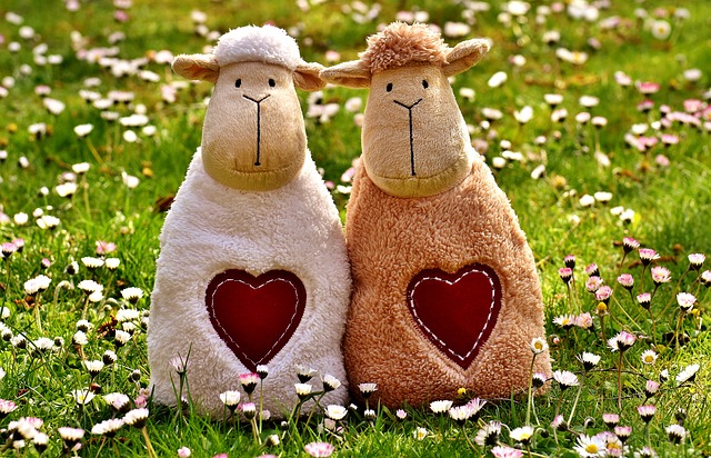 Sheep w/ Hearts