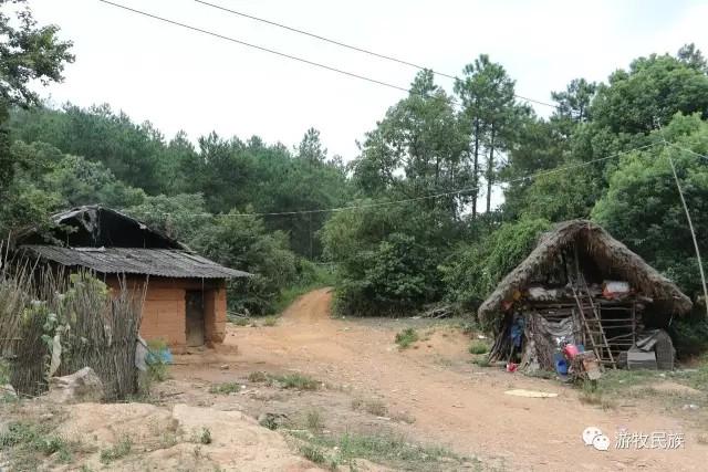 The local Miao people live in  hatched huts.