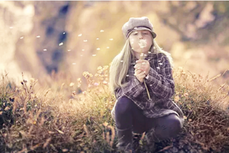 A girl blows at a flower. 