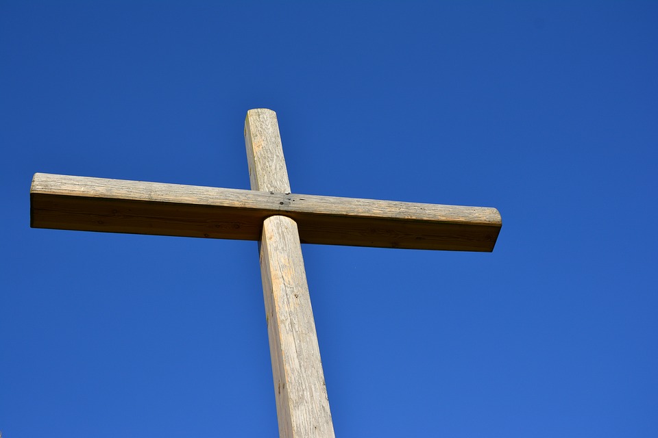 The cross 