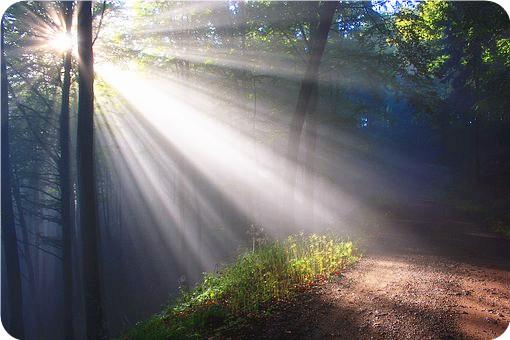 The sunshine 