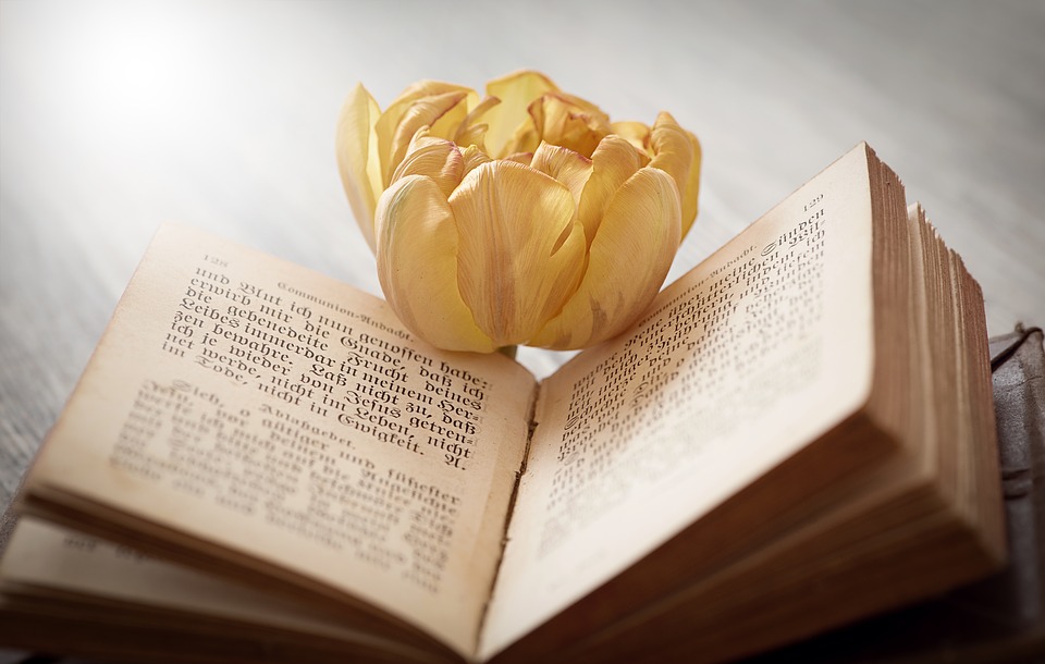 A flower is placed on a book. 
