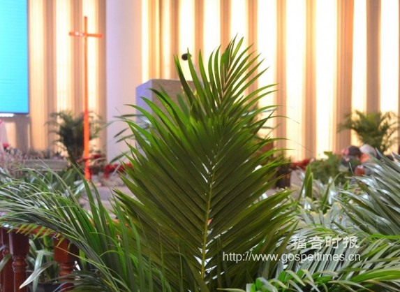 Palm branches are put in a church. 