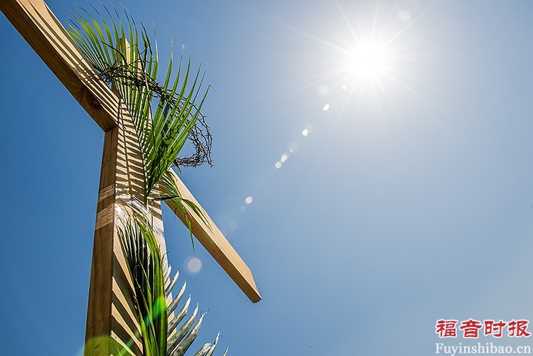 A cross was decorated with palm branches. 