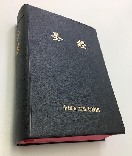 The Studium Biblicum Version Bible