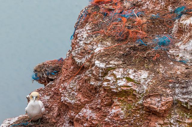Marine Pollution