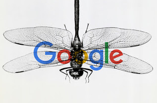 Google Dragonfly