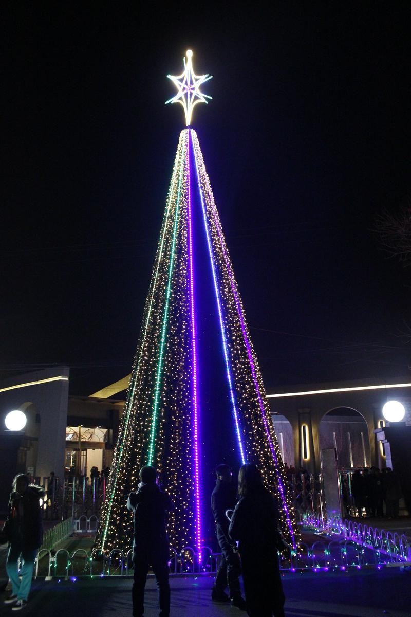 A Christmas tree with lights in Fengtai Church