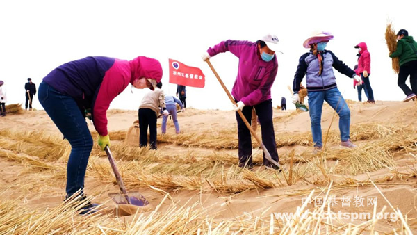 From March 26 to 27, 2020, the church in Liangzhou District, Wuwei, Gansu Province,  organized about 40 believers to join in the spring desertification protection work.