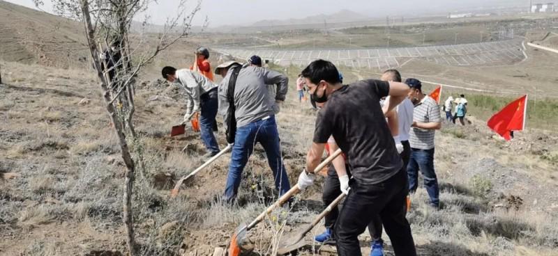 The brothers of Urumqi Mingde Church joined in local afforestation on April 30, 2020. 