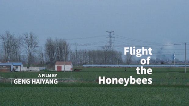 A picture for the film of "Flight of the Honeybees" directed by Geng Haiyang