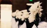 Chrysanthemums for deceased persons