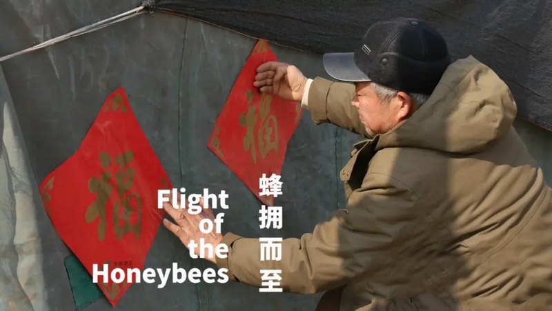Screenshot of "Flight of the Honeybees"