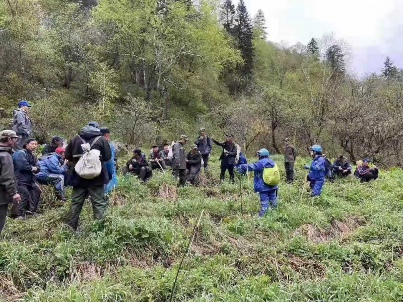 Male believers from churches in Linjiang City, Jilin Province, were searching two missing persons on the Changbai mountain since June 4, 2021.