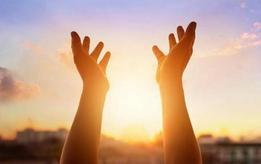 A pair of hands raise up in the sun.