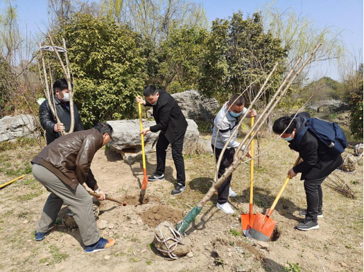 Staff of City One Church in Nantong, Jiangsu, planted trees in a local garden named "Green Valley City" on March 12, 2022.