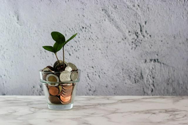 A picture shows a plant growing among a cup of coins.