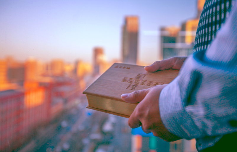 A picture shows a person holding the Bible.