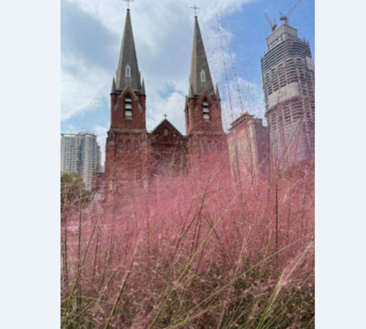 Shanghai St. Ignatius Cathedral in flowers
