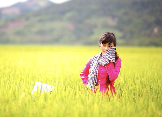 A woman on a green rice field