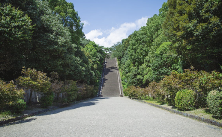 A picture of a sloping road with trees on both sides